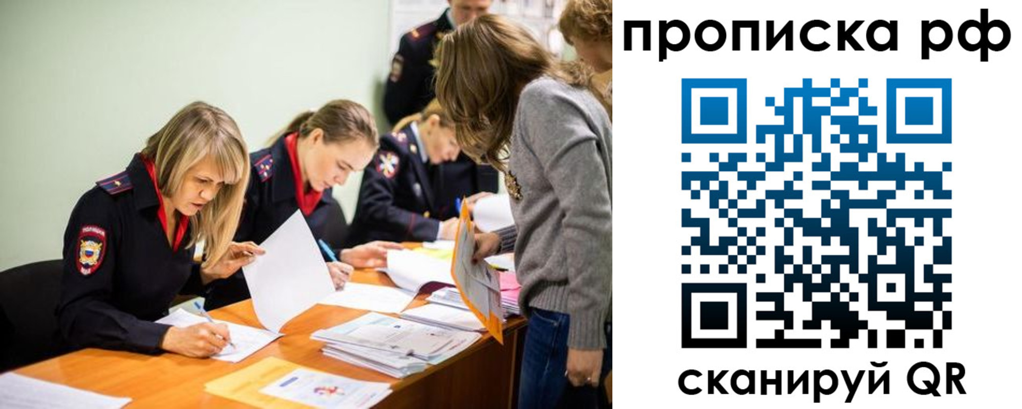 прописка поиск в Павловске