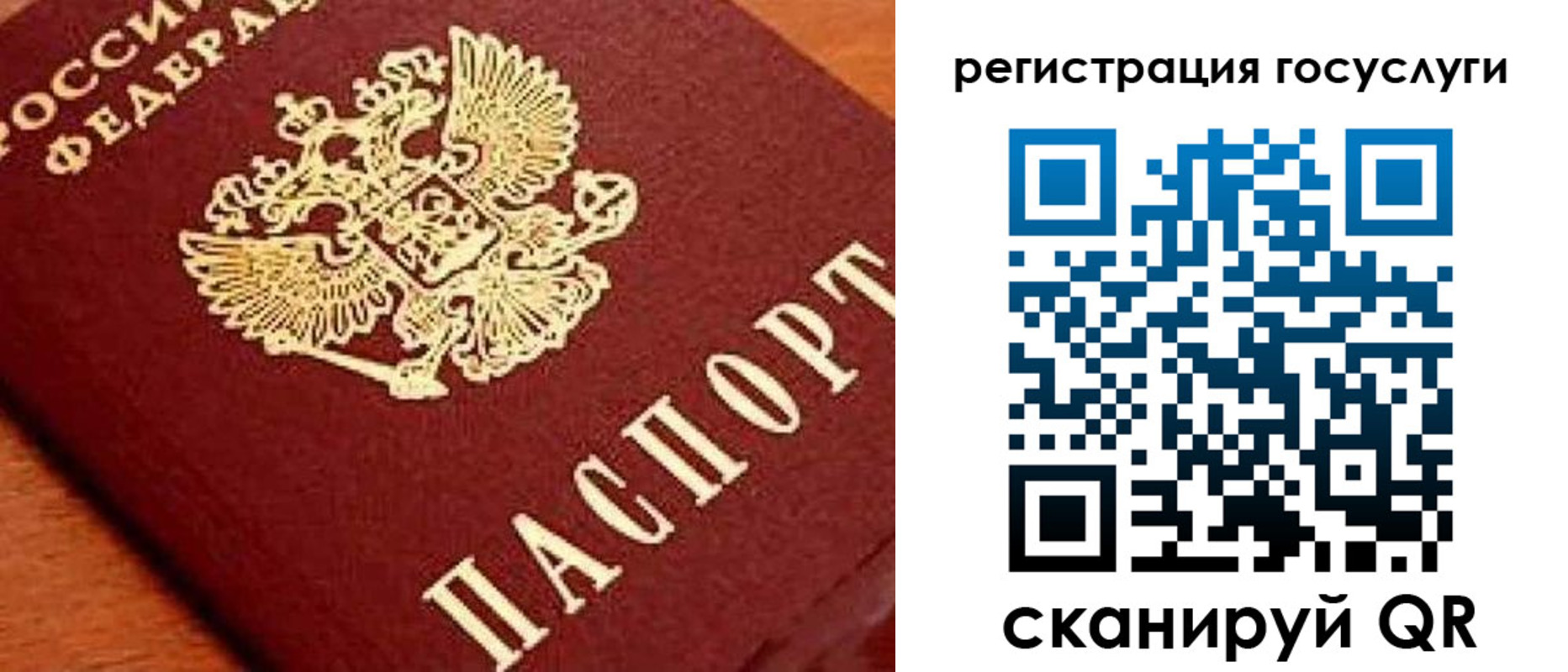 временная регистрация недорого в Павловске